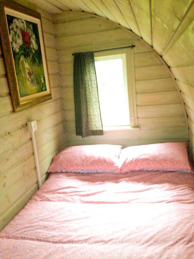 Carrigeen Glamping 基尔根尼 外观 照片