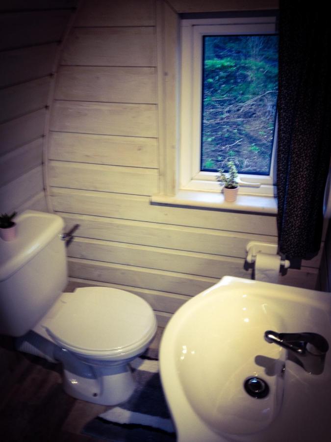 Carrigeen Glamping 基尔根尼 外观 照片