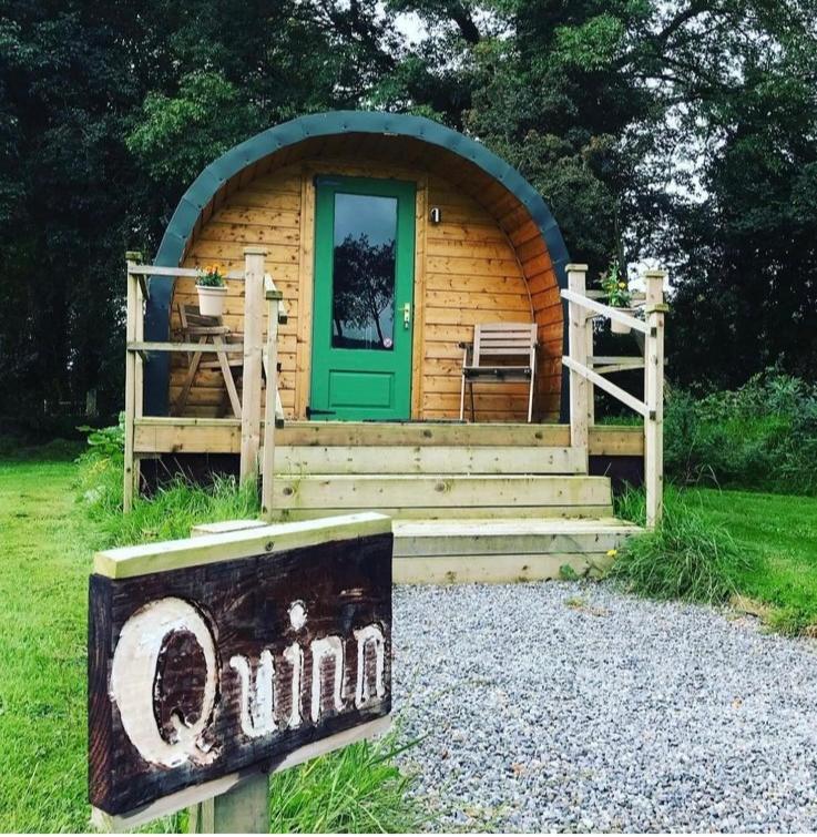 Carrigeen Glamping 基尔根尼 外观 照片
